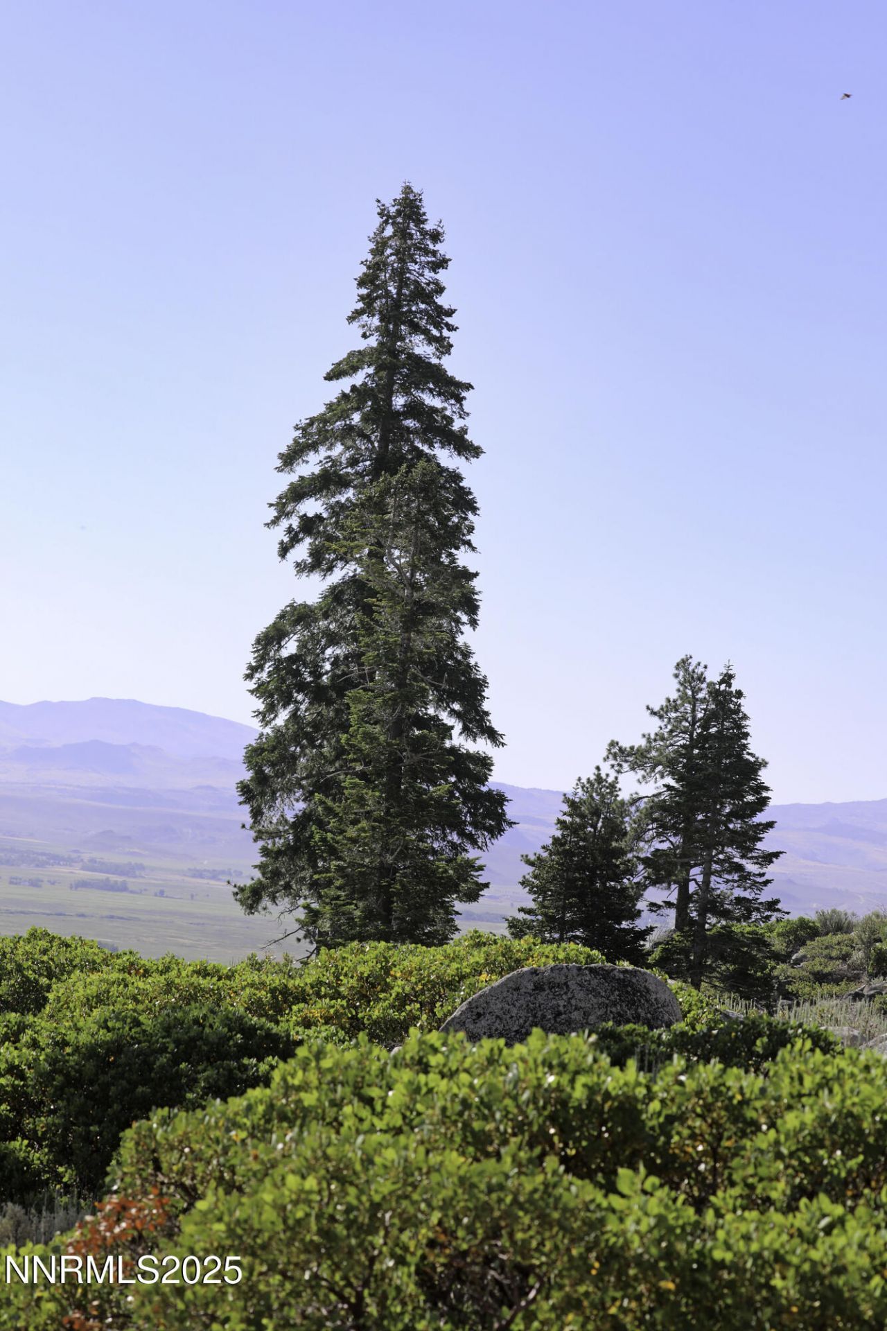 Tbd Kingsbury Grade, Gardnerville, NV 89460 Photo