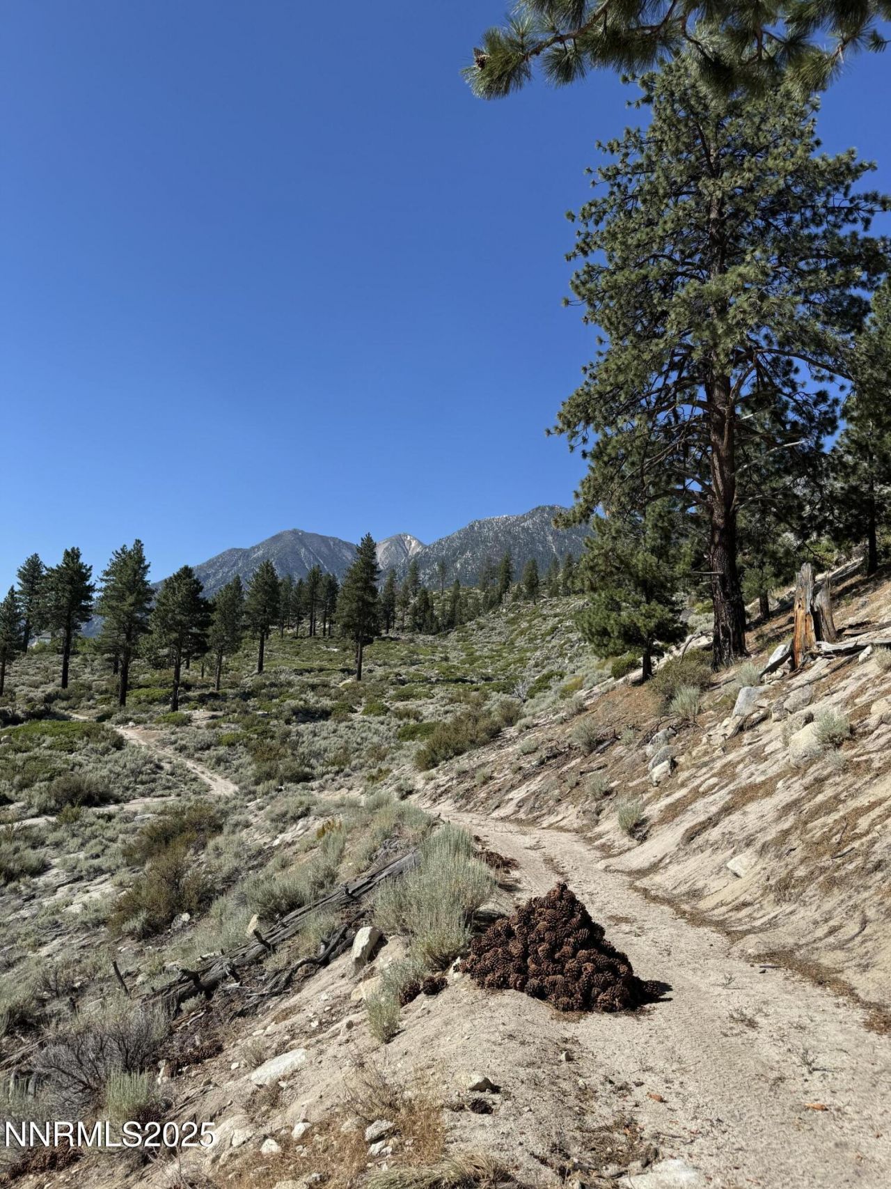 Tbd Kingsbury Grade, Gardnerville, NV 89460 Photo