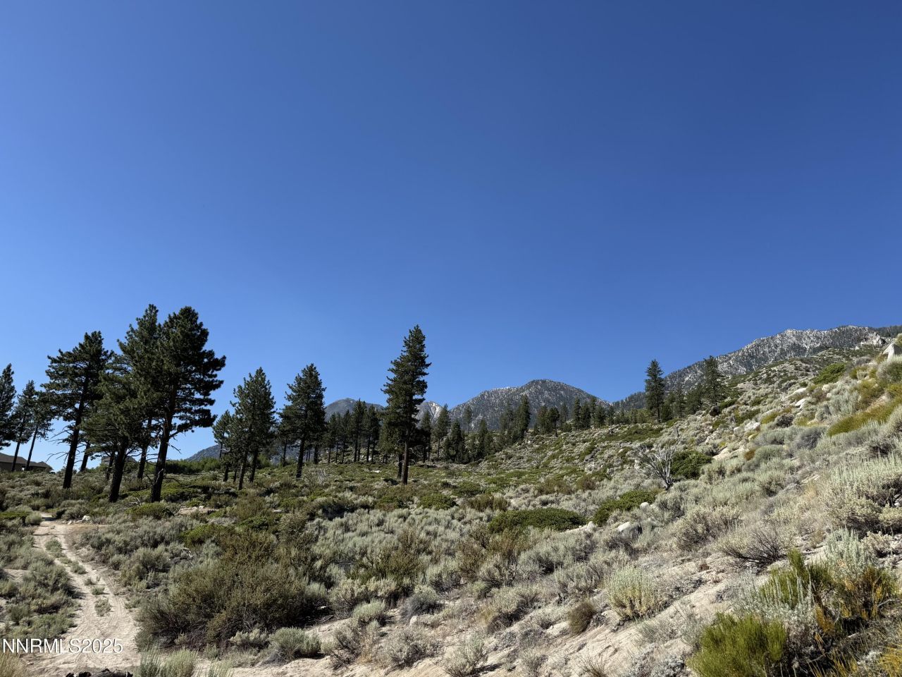 Tbd Kingsbury Grade, Gardnerville, NV 89460 Photo