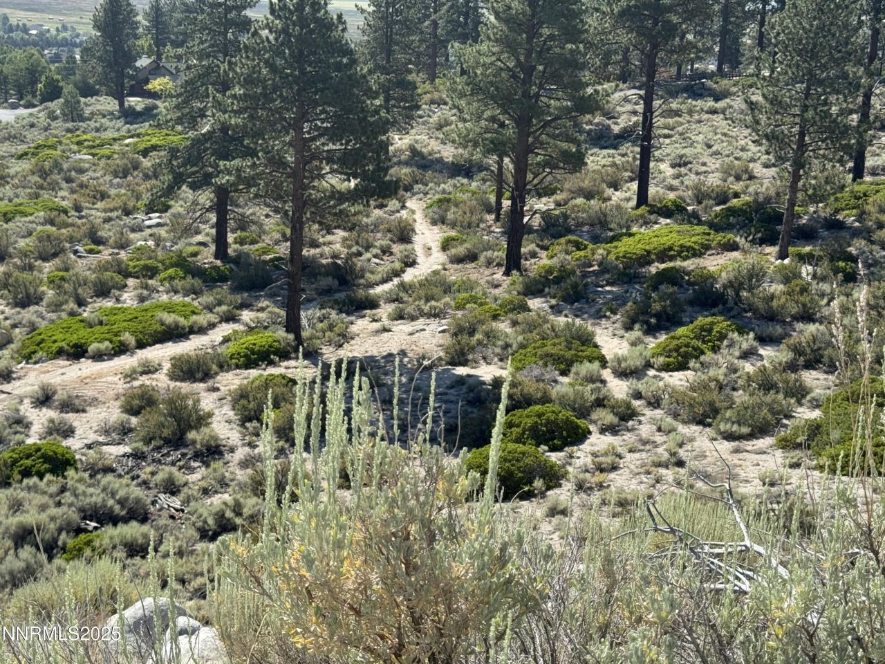 Tbd Kingsbury Grade, Gardnerville, NV 89460 Photo