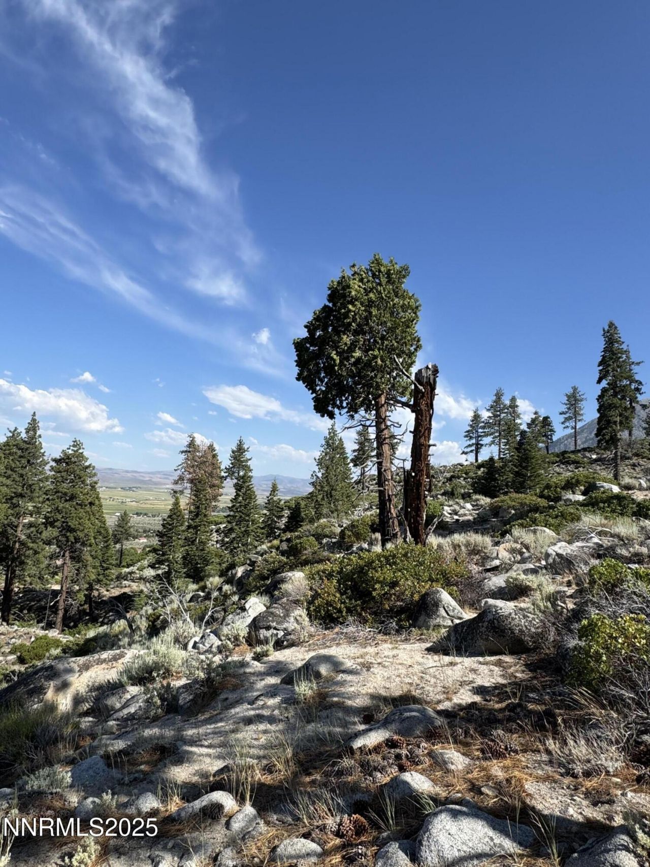 Tbd Kingsbury Grade, Gardnerville, NV 89460 Photo