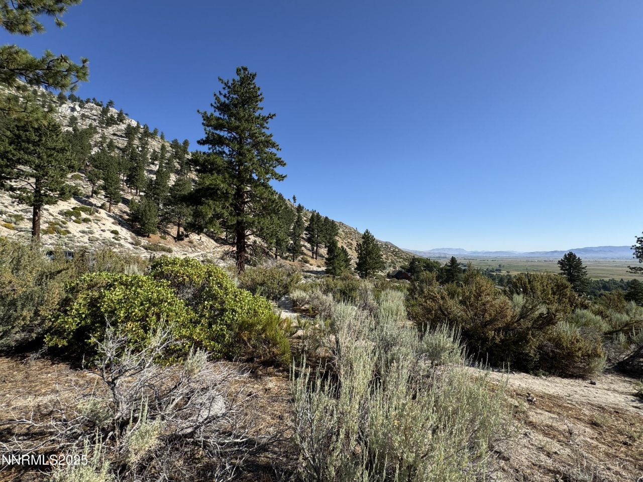 Tbd Kingsbury Grade, Gardnerville, NV 89460 Photo