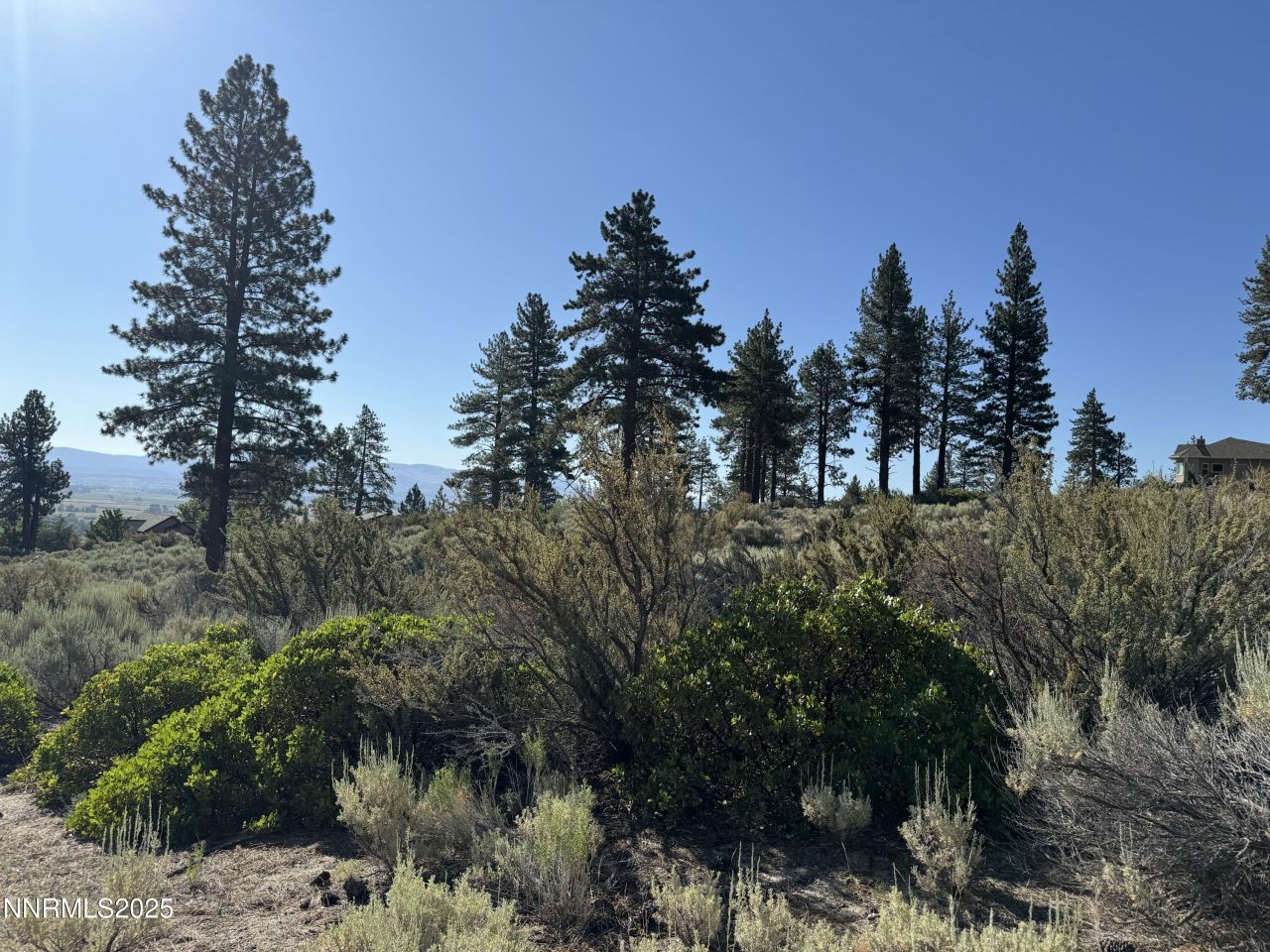 Tbd Kingsbury Grade, Gardnerville, NV 89460 Photo