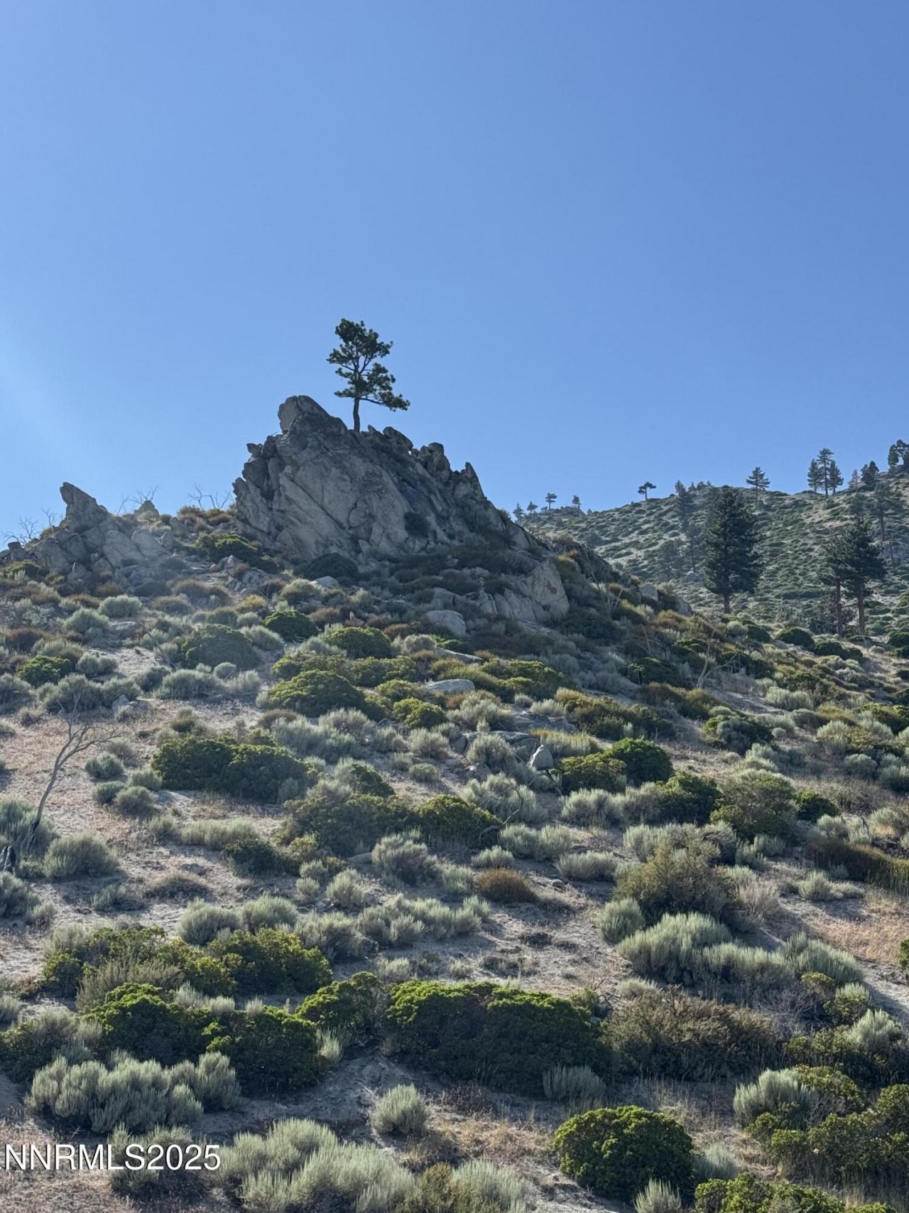 Tbd Kingsbury Grade, Gardnerville, NV 89460 Photo