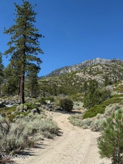 Tbd Kingsbury Grade, Gardnerville, NV 89460 Photo
