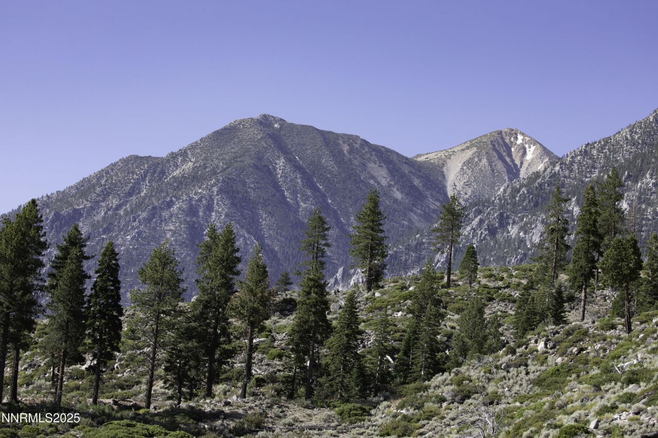 Tbd Kingsbury Grade, Gardnerville, NV 89460 Photo