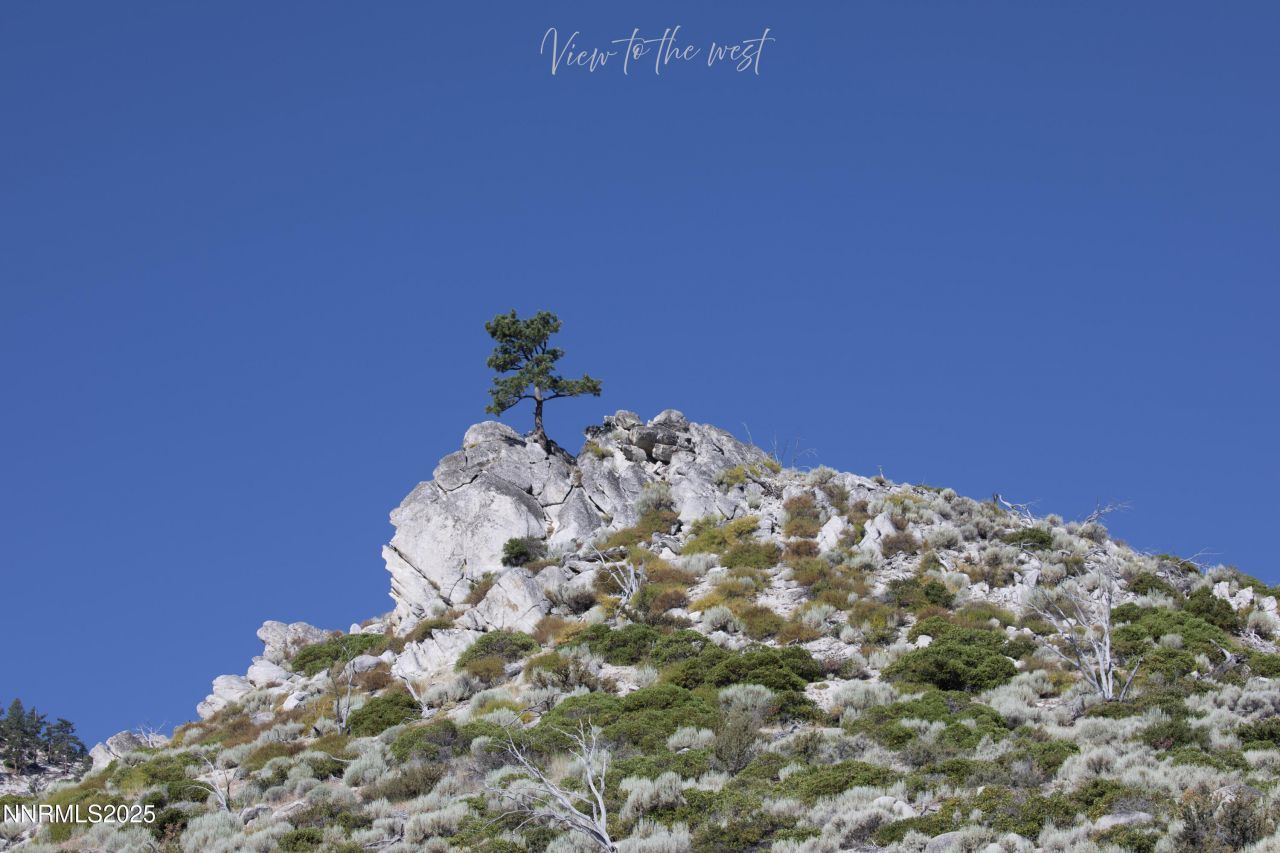 Tbd Kingsbury Grade, Gardnerville, NV 89460 Photo