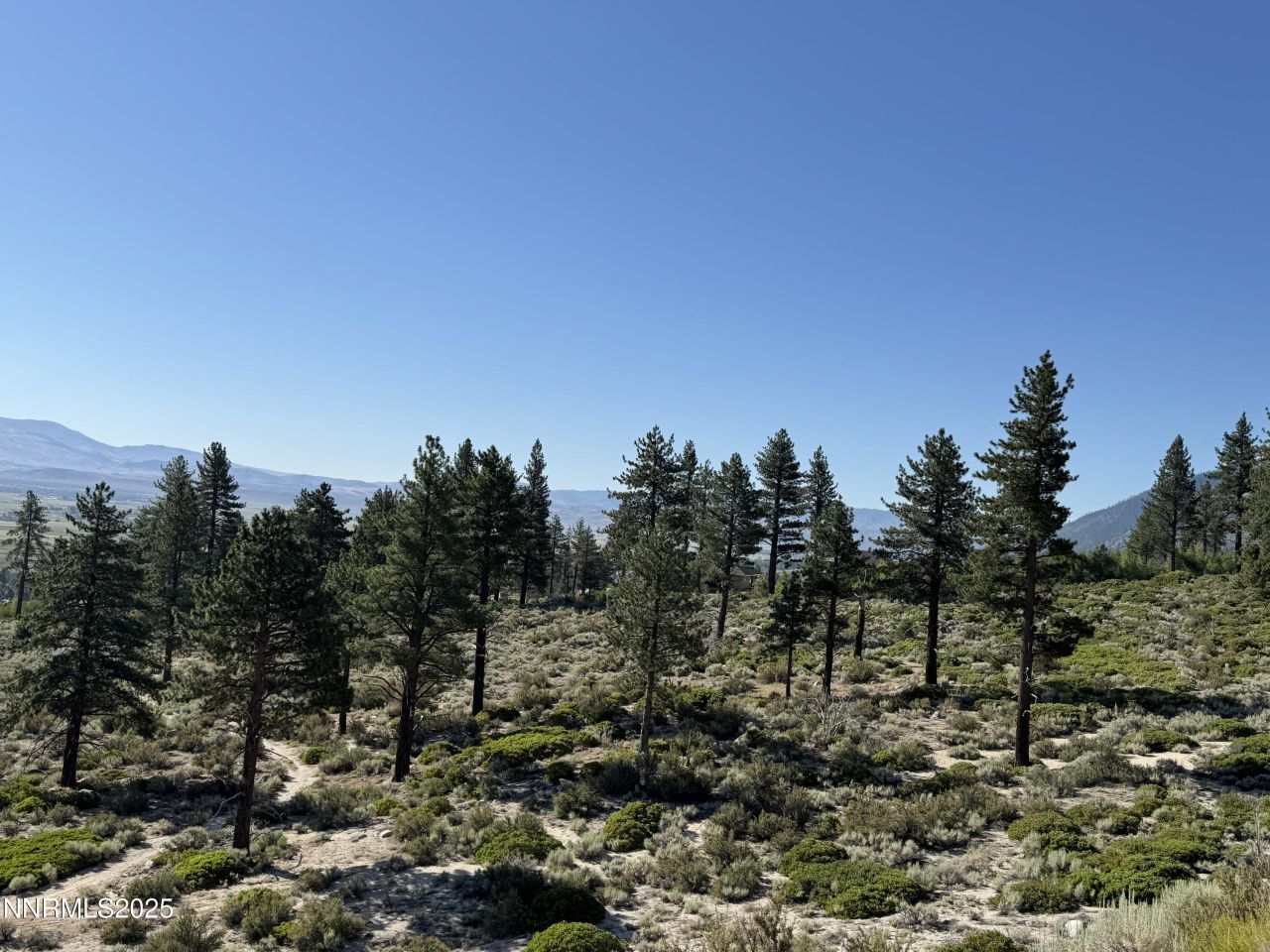 Tbd Kingsbury Grade, Gardnerville, NV 89460 Photo