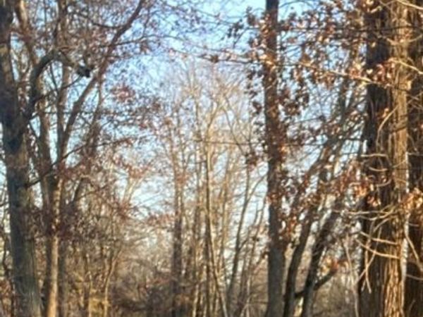 0 Derby RD, Gretna, VA 24557