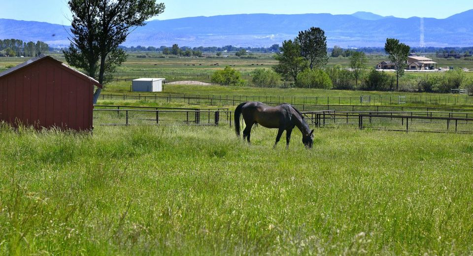 775 Foothill Road, Gardnerville, NV 89460 Photo