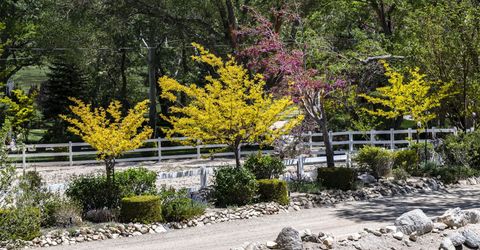 775 Foothill Road, Gardnerville, NV 89460 Photo