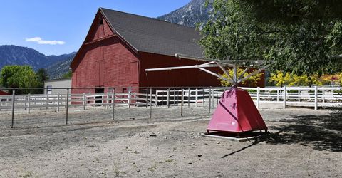 775 Foothill Road, Gardnerville, NV 89460 Photo