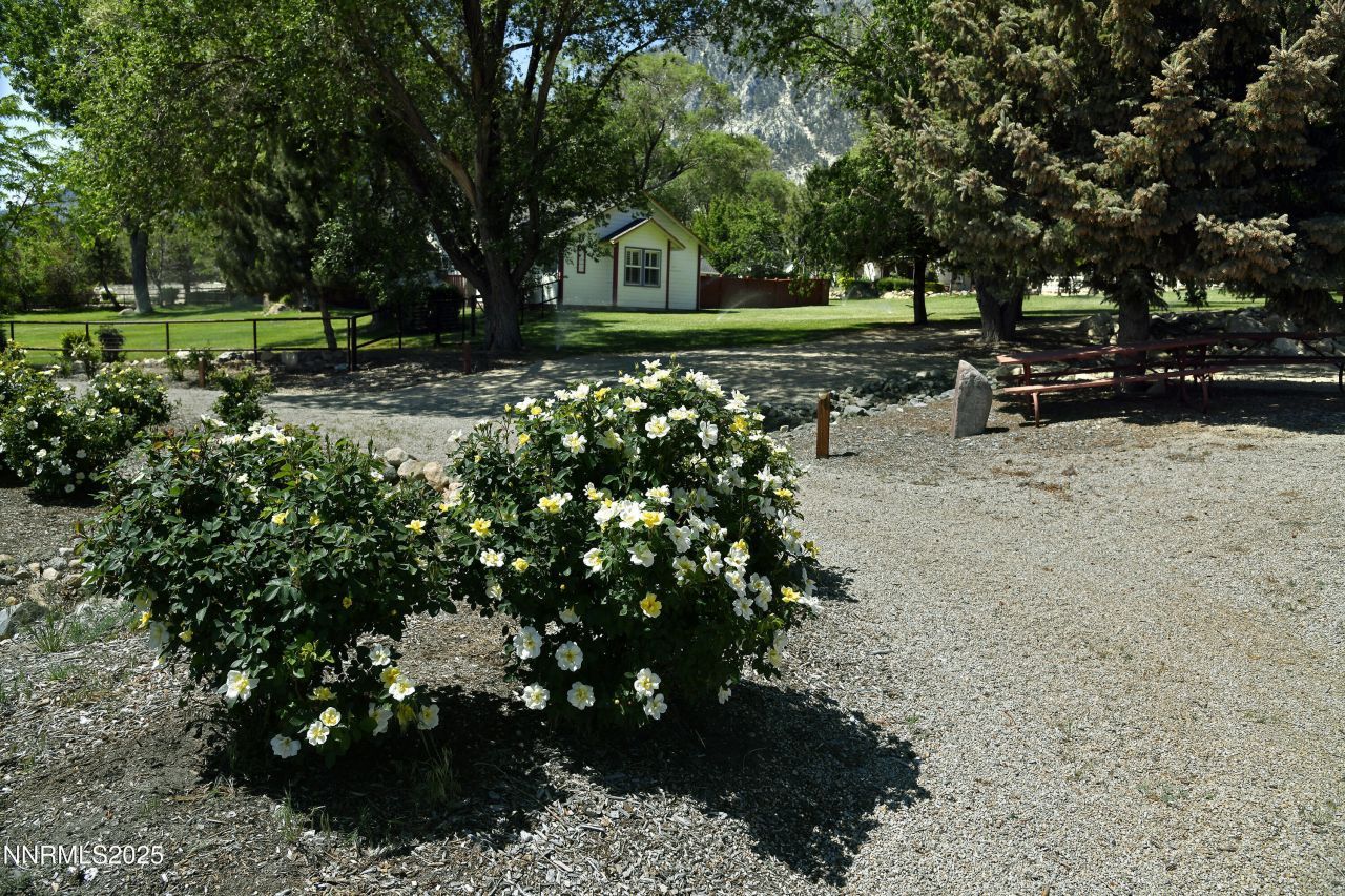 775 Foothill Road, Gardnerville, NV 89460 Photo