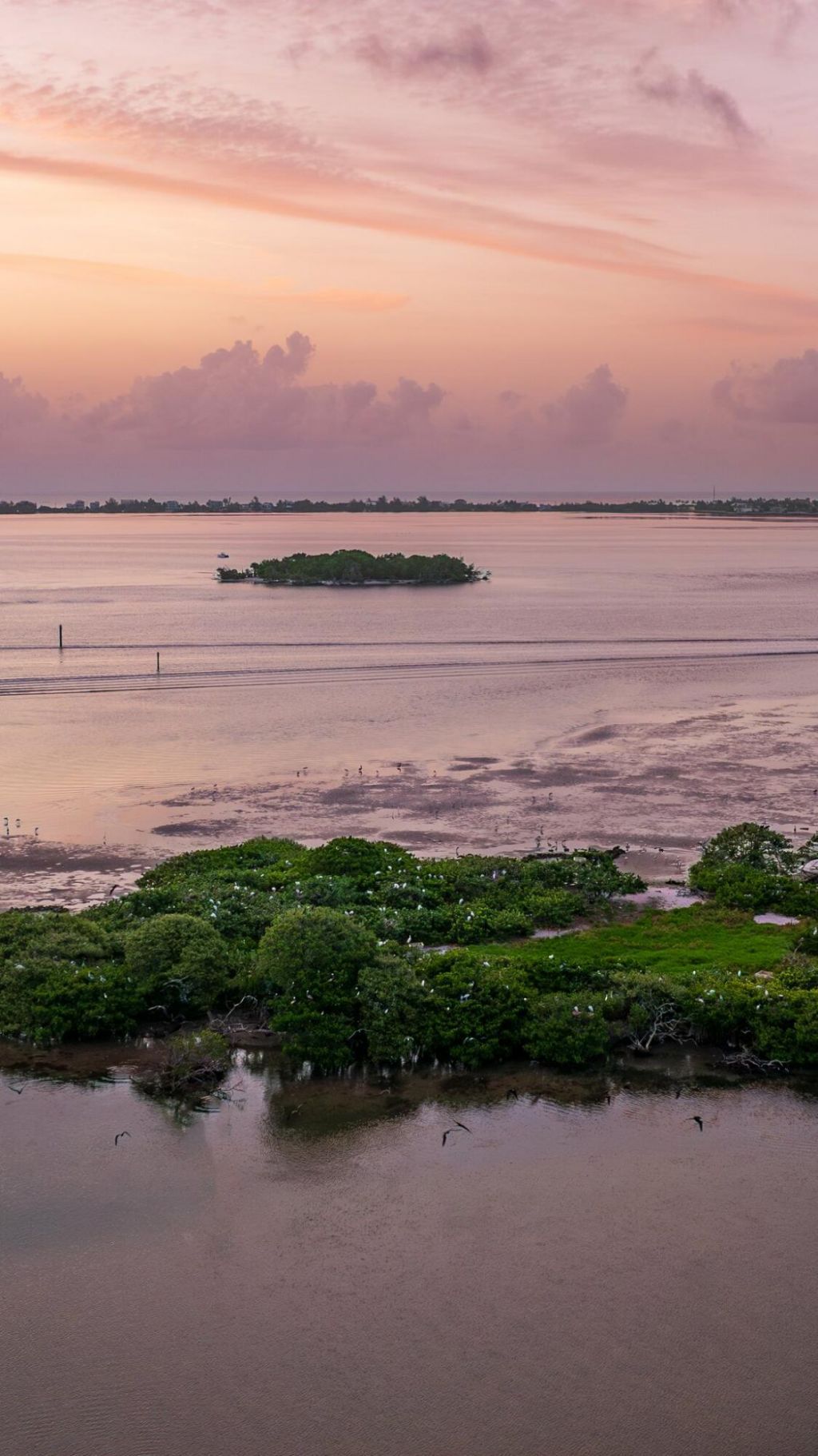 14 Herons Nest, Sewalls Point, FL 34996 Photo