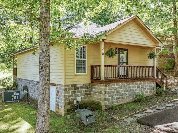 310 Ping Hill Cv, Counce, TN 38326