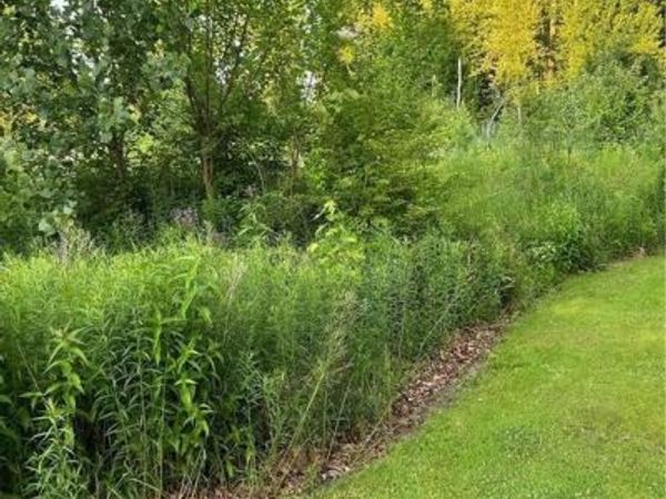 2946 Elmwood Drive, Sylvania, OH 43560