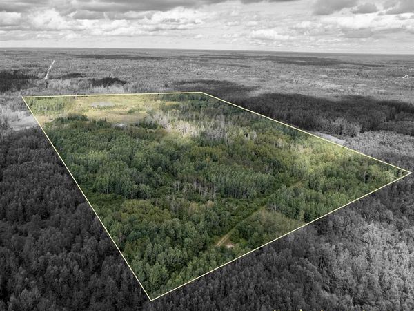 TBD Plantation Lane, Maple Ridge Twp, MI 49880