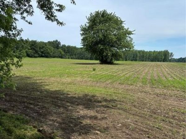 4035 E Center Street, North Kingsville, OH 44030