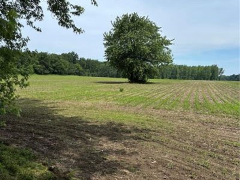 4035 E Center Street, North Kingsville, OH 44030 Photo 1