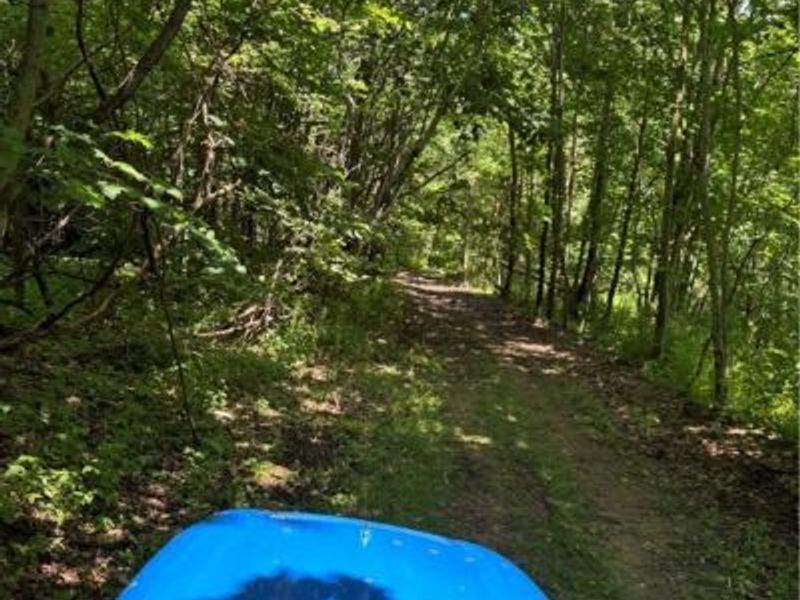 4035 E Center Street, North Kingsville, OH 44030 Photo 11