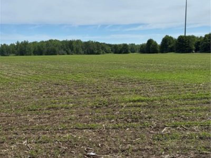 4035 E Center Street, North Kingsville, OH 44030 Photo 4