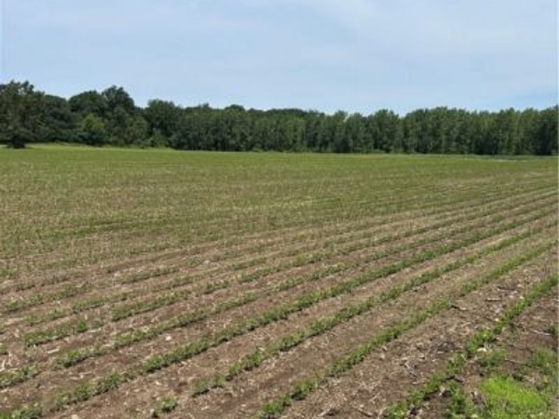 4035 E Center Street, North Kingsville, OH 44030 Photo 5