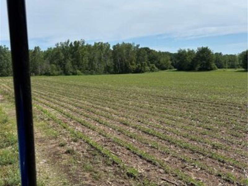 4035 E Center Street, North Kingsville, OH 44030 Photo 6