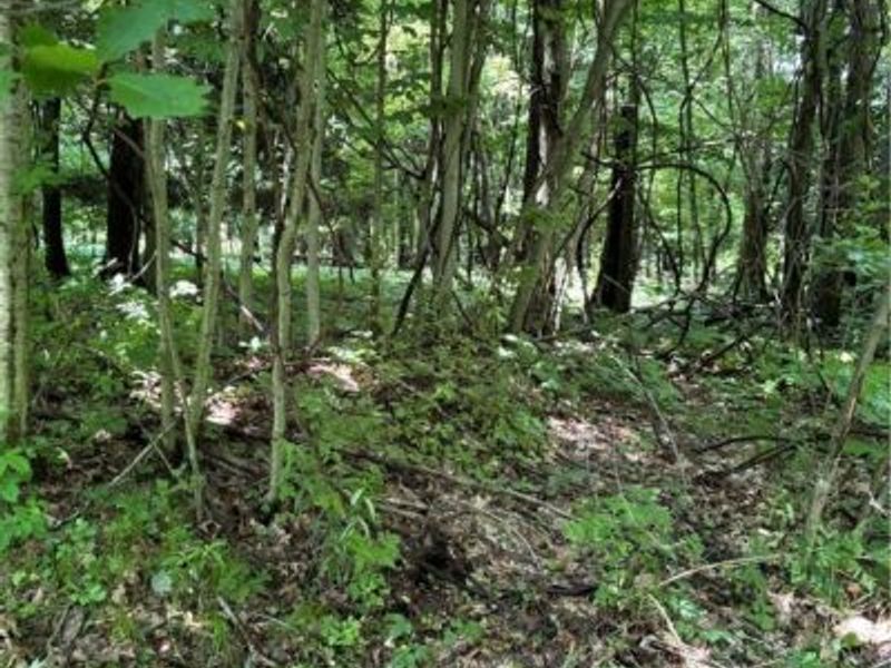 4035 E Center Street, North Kingsville, OH 44030 Photo 8