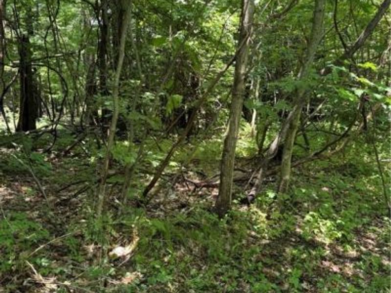 4035 E Center Street, North Kingsville, OH 44030 Photo 9