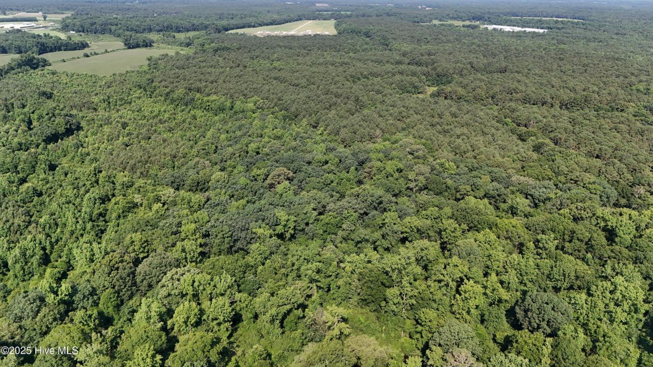 0 Reedsford Road, Turkey, NC 28393 Main Photo