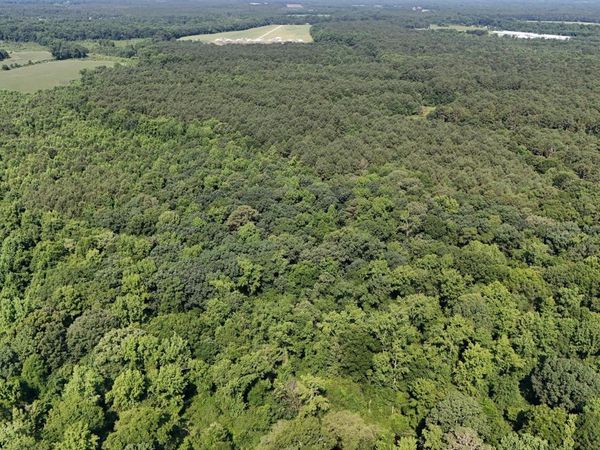 0 Reedsford Road, Turkey, NC 28393