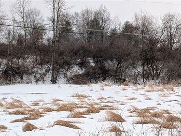 Algerine Street, Afton, NY 13730