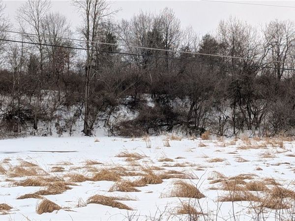 Algerine Street, Afton, NY 13730