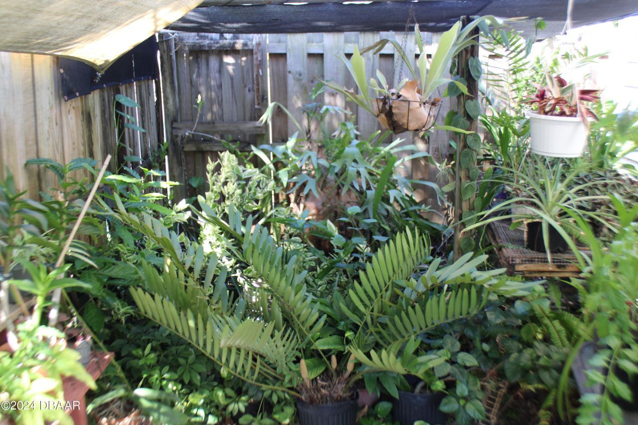 607 N Dixie, New Smyrna Beach, FL 32168 Photo