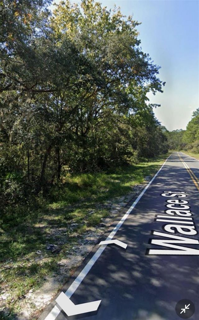 161 Wallace Street, Interlachen, FL 32148 Photo