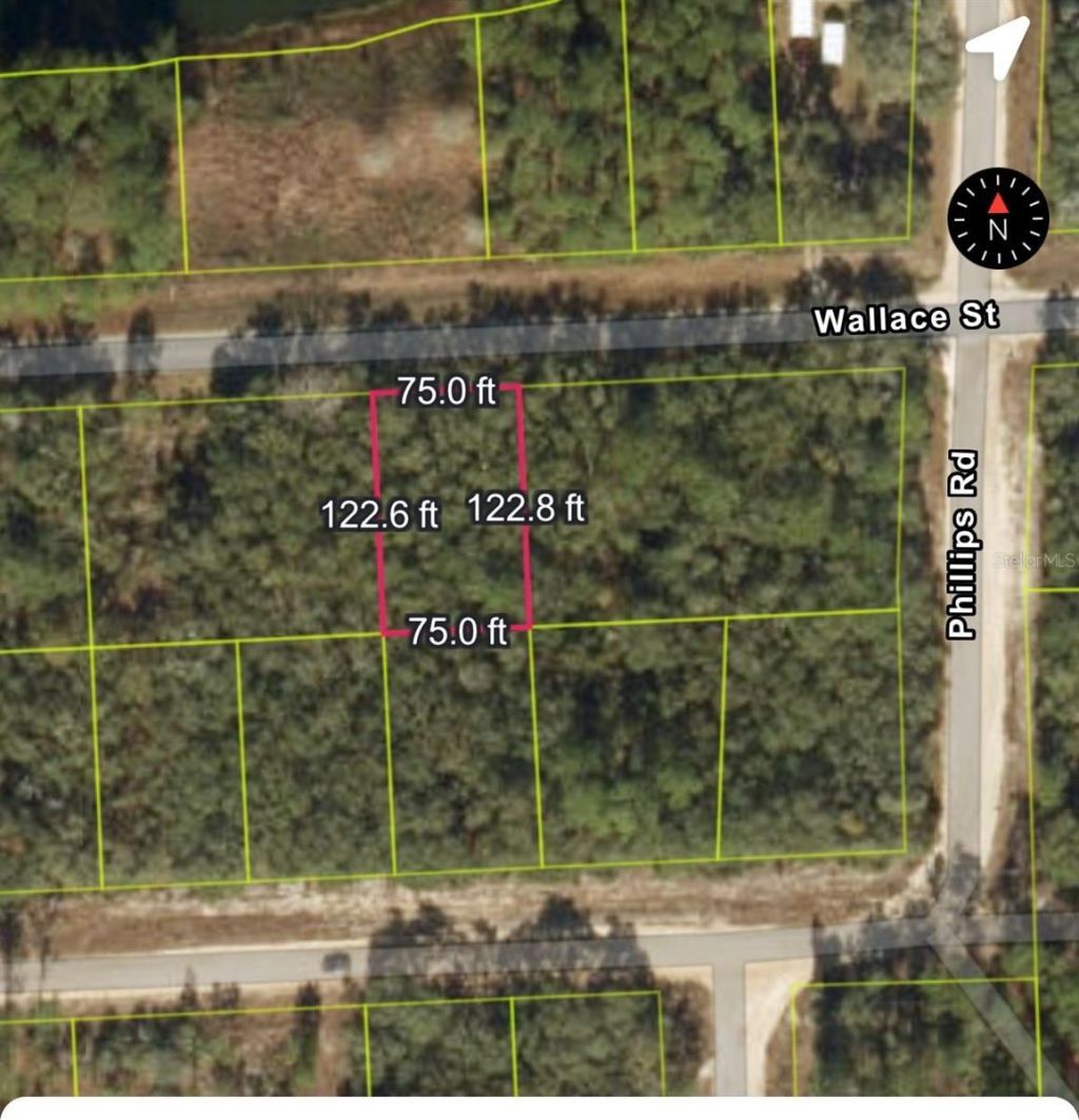 161 Wallace Street, Interlachen, FL 32148 Photo