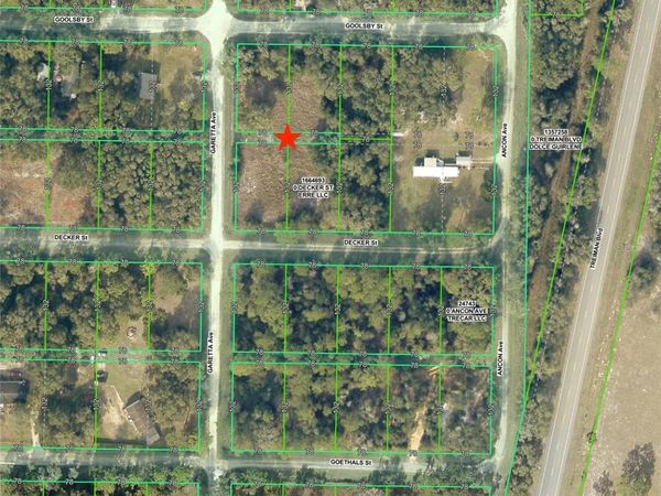 0 GOOLSBY STREET, WEBSTER, FL 33597