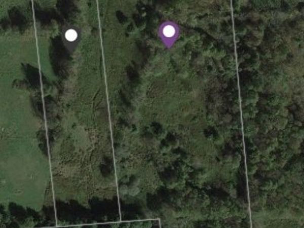 236 Burrows Road, Unadilla, NY 13849