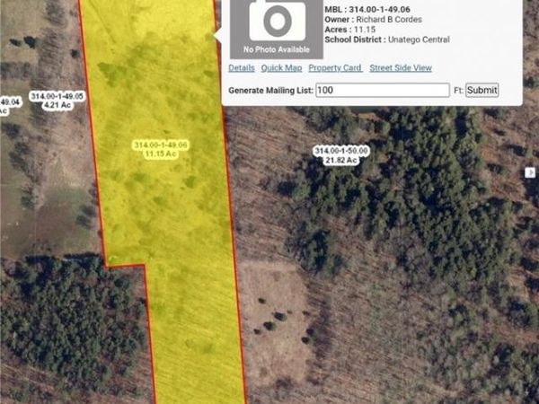 236 Burrows Road, Unadilla, NY 13849