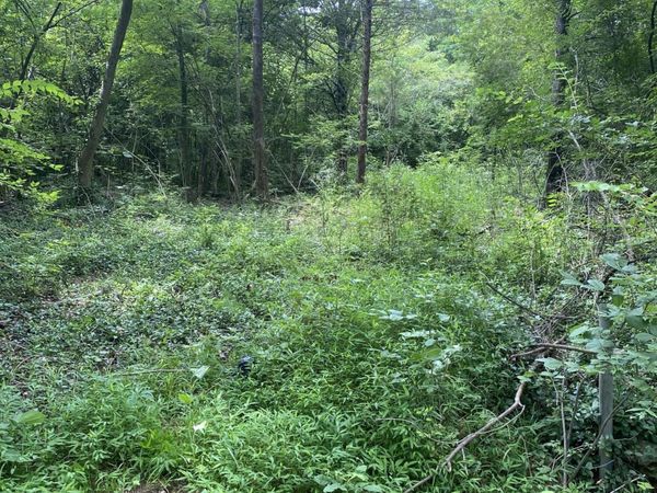 0 Mccahill Road, Chattanooga, TN 37415