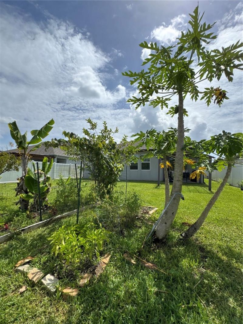 2741 Neverland Drive, New Smyrna Beach, FL 32168 Photo