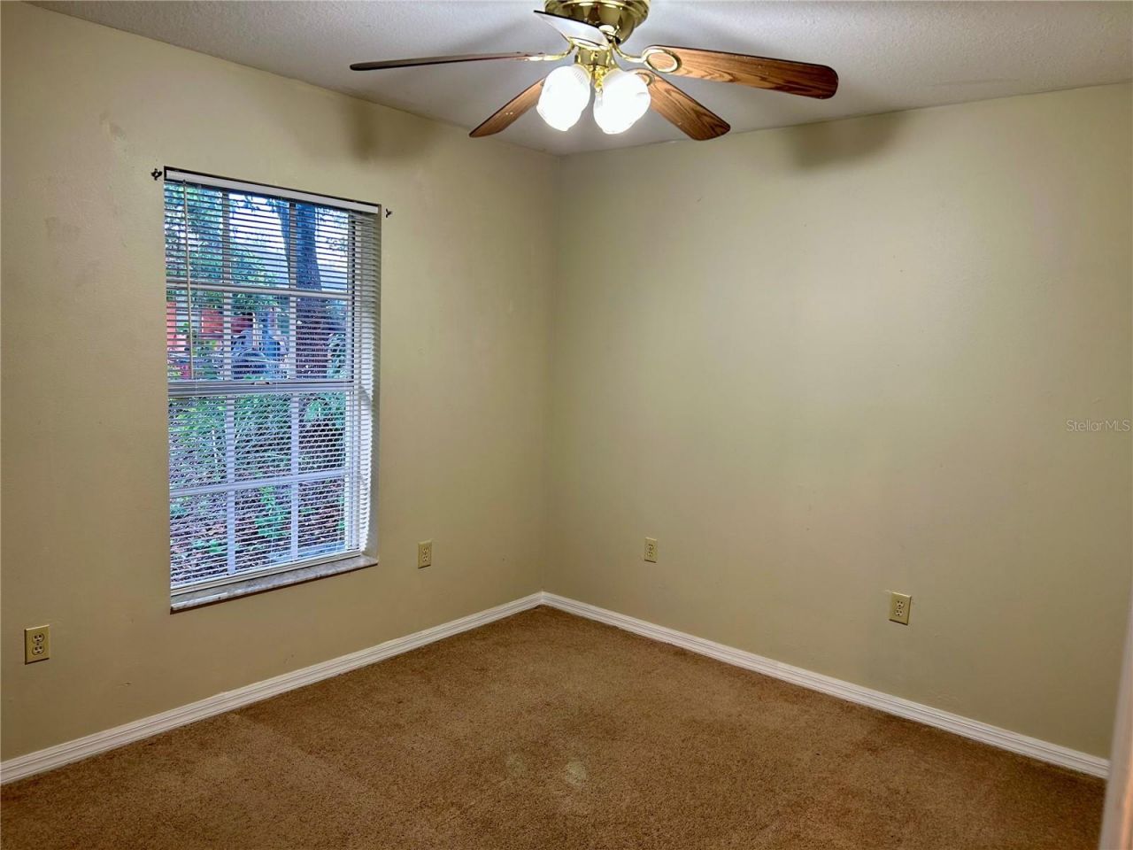 209 N 1st Avenue, Wauchula, FL 33873 Photo