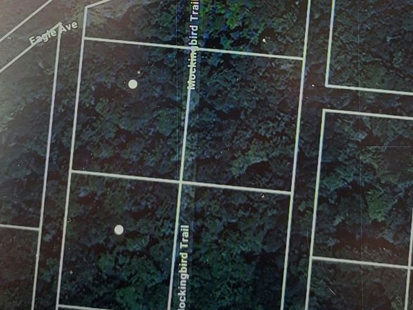 Mockingbird Trail, Bethel, NY 12720