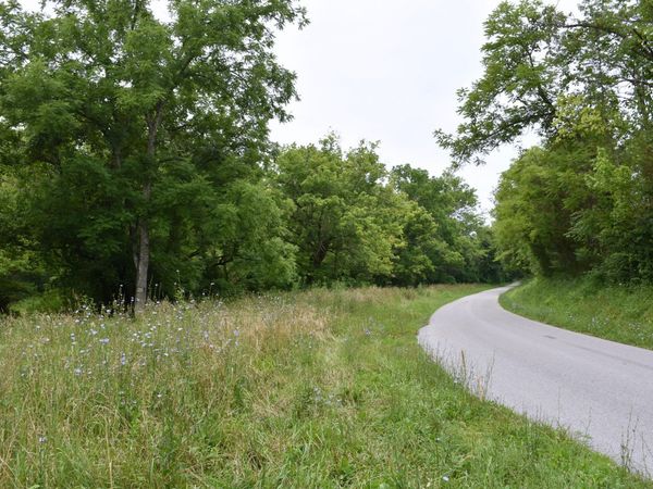 1540 Snag Creek Road, Foster, KY 41043