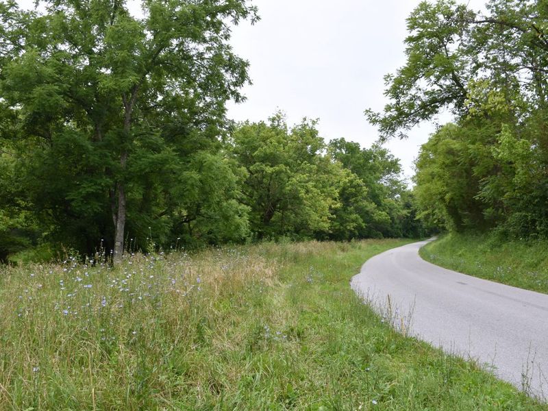 1540 Snag Creek Road, Foster, KY 41043 Photo 1