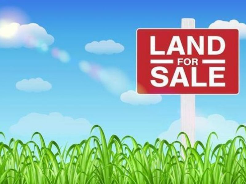 1540 Snag Creek Road, Foster, KY 41043 Photo 11