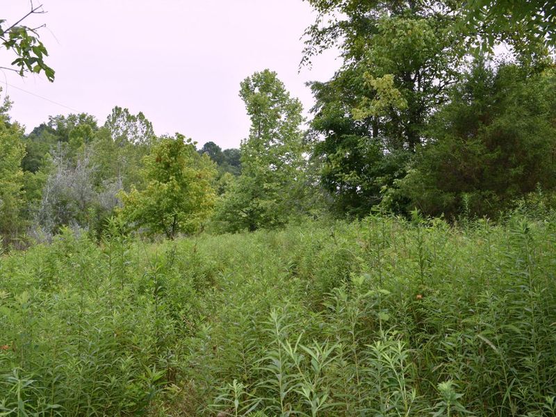 1540 Snag Creek Road, Foster, KY 41043 Photo 5