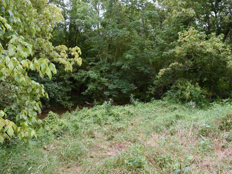 1540 Snag Creek Road, Foster, KY 41043 Photo 6