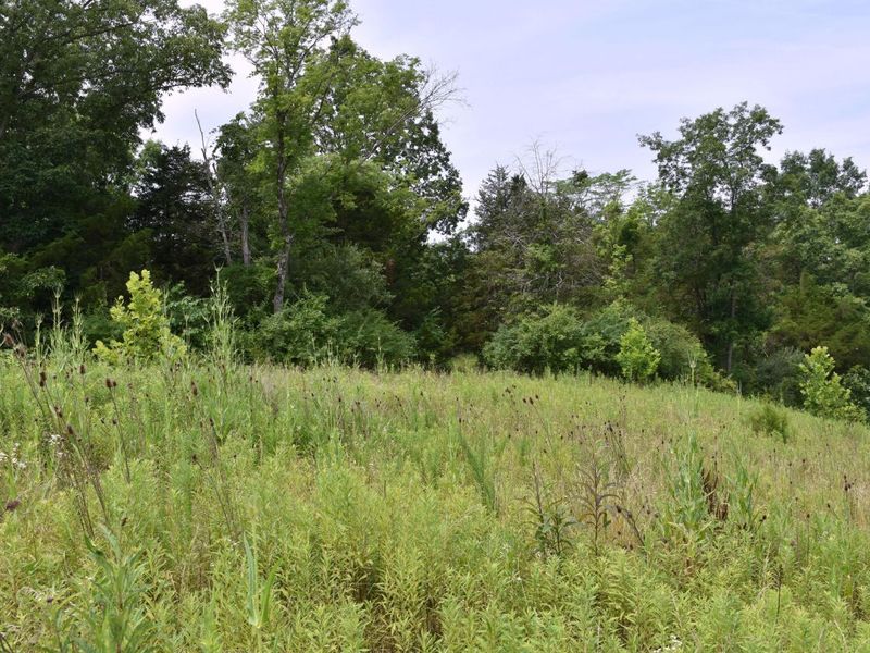 1540 Snag Creek Road, Foster, KY 41043 Photo 8