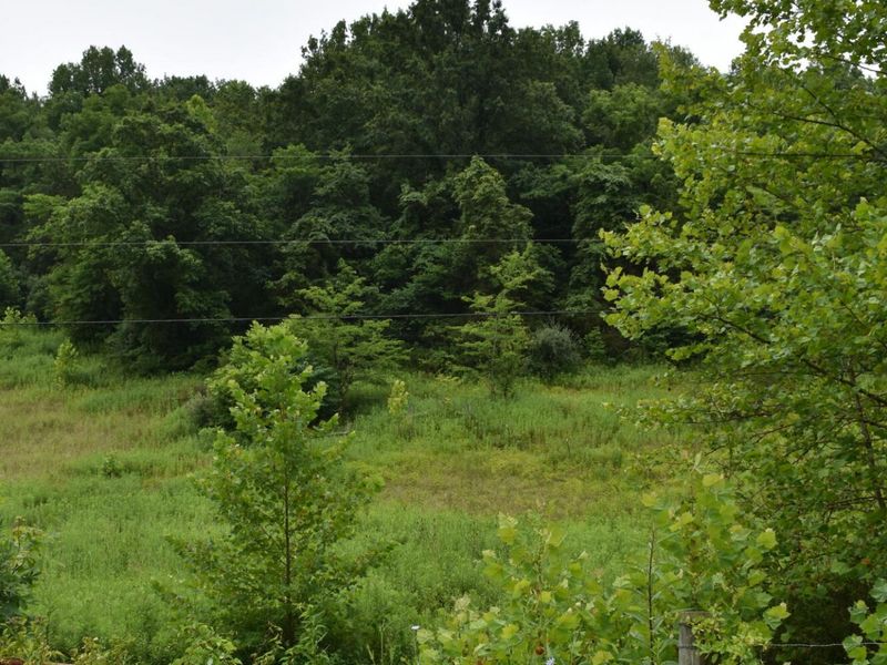 1540 Snag Creek Road, Foster, KY 41043 Photo 9